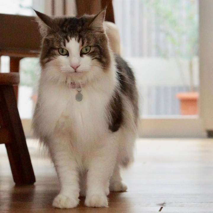 01b8a7b3 383e 483d b3bc 7916eecf07ea 1561167916213