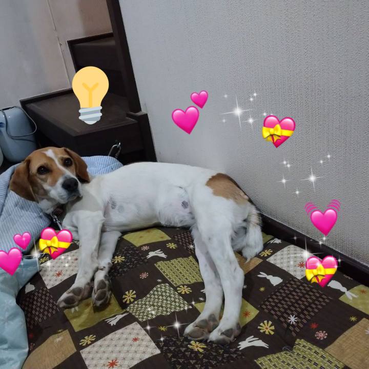 01b8b368 a566 4f6b b26f 17039d591cfc 1589897079770