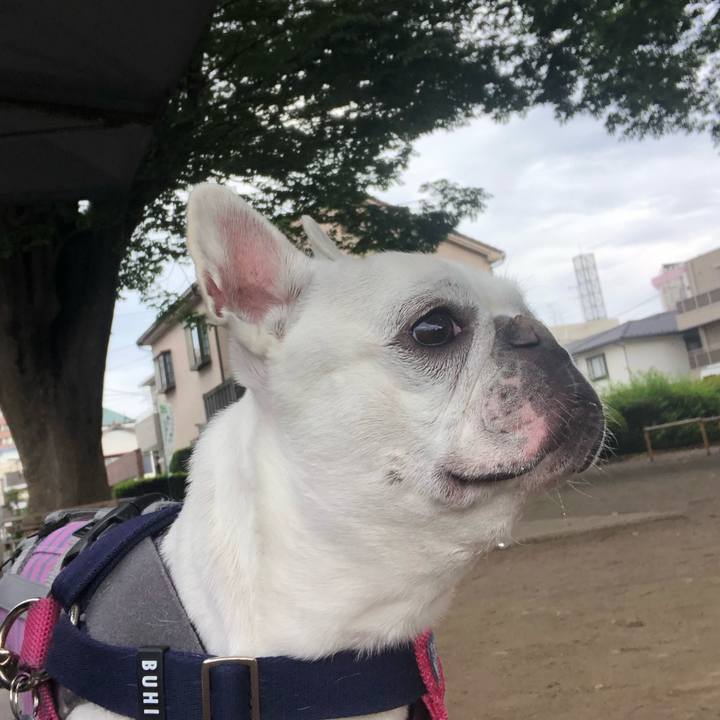 01b8eb49 74f2 4c5c 9c20 f34a8fec6966 1621125584080