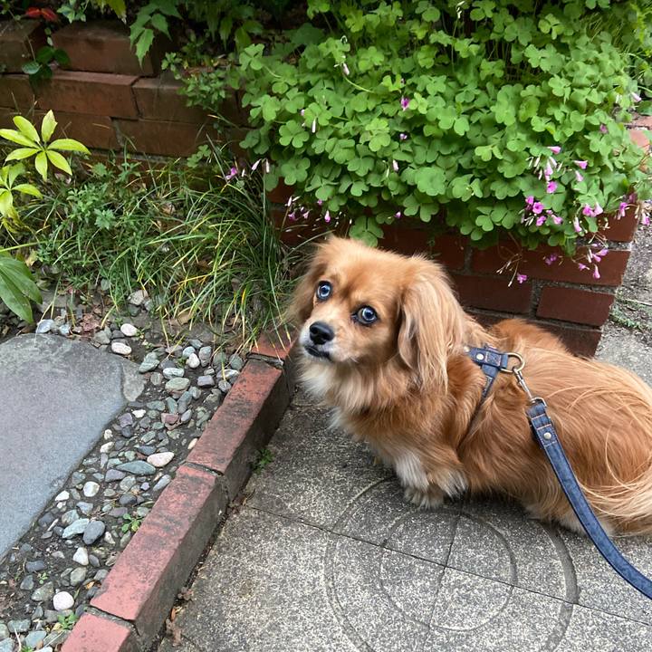 01b919d8 1ff9 4b64 b596 f1d69ee84f8c 1574115814058