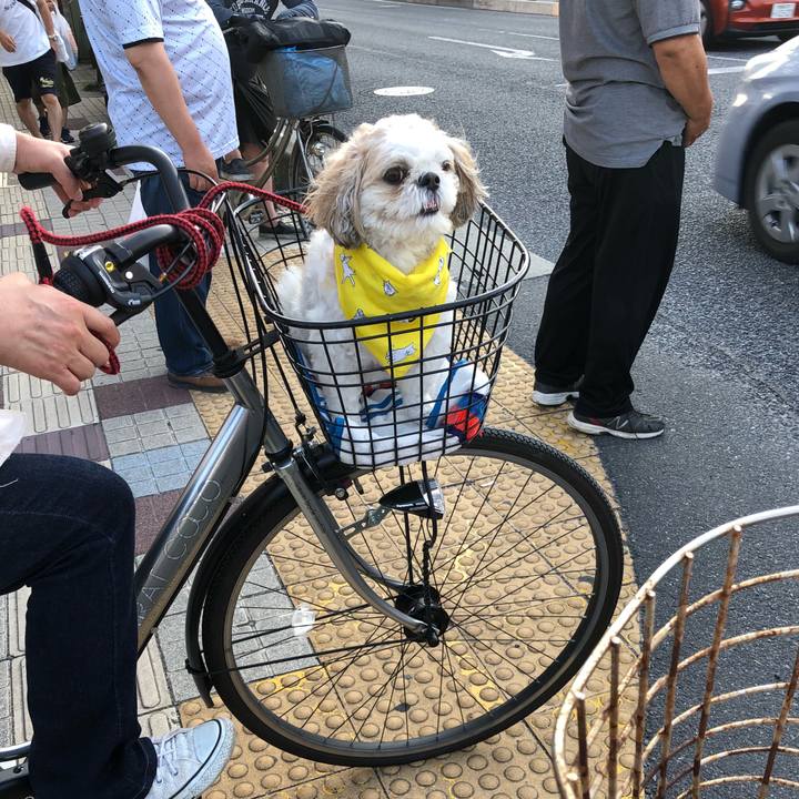 01b9242c 7835 491b 8f69 f60c4ff29be3 1531863581265