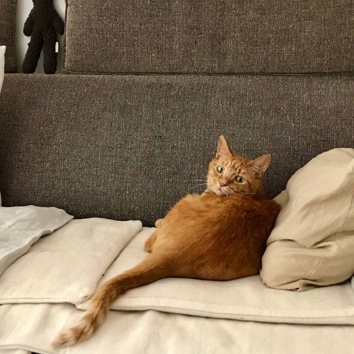 01b929f6 c783 4439 ae9a 6a61b8d8eac9 1570589166870