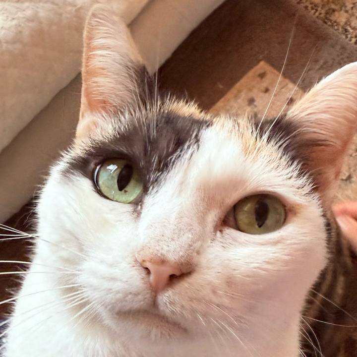 01b99aeb 118d 41c9 94a0 1546cc54087a 1758589244887