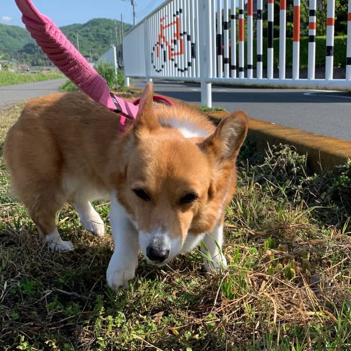 01b99ee9 35db 43d2 adc1 c4e098007583 1714092310570