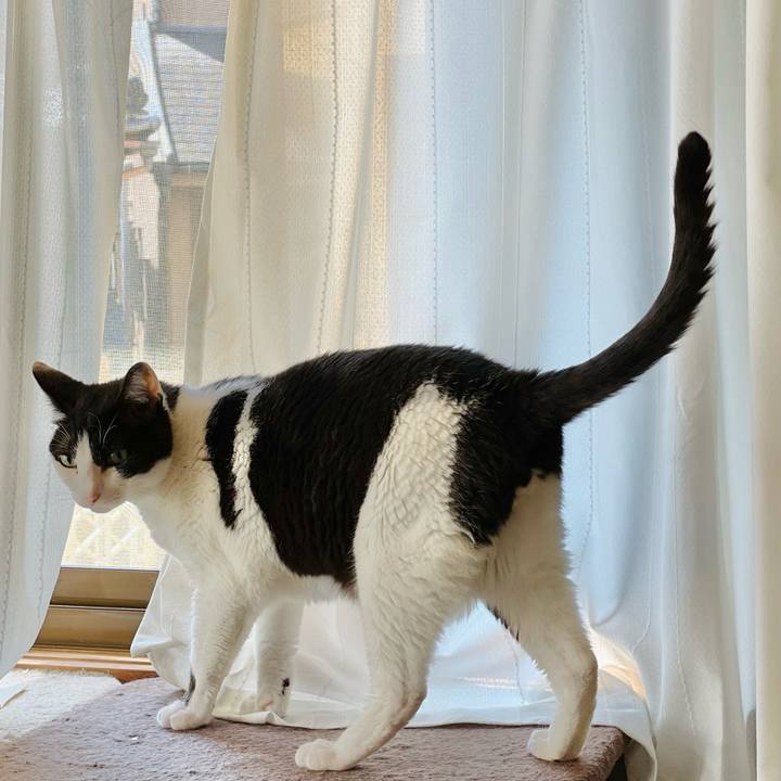 01b9ac11 1bb9 4c5f b1b9 64fcd2519231 1658707597057