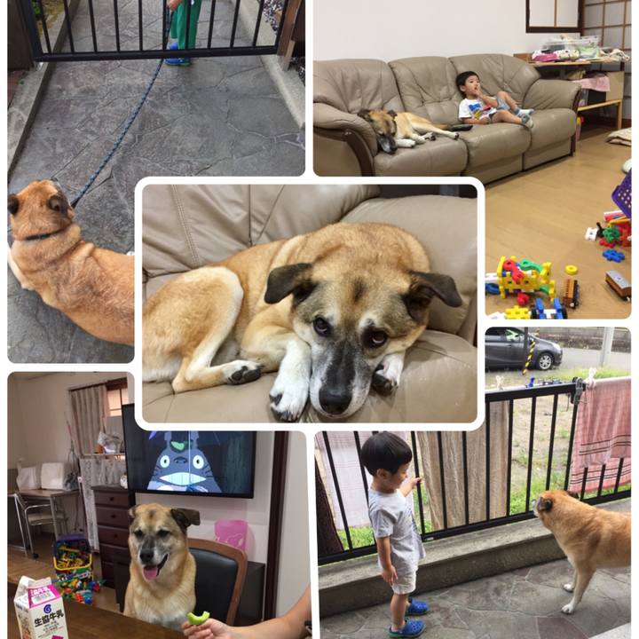 01b9f9a0 66b8 42ca b84b 031eda13b1ac 1535368102390