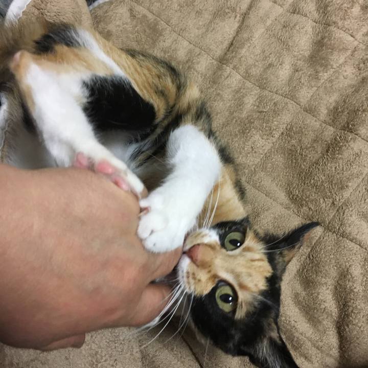 01ba19ea 4e0d 4786 8405 7f0cac92ab07 1519308155317