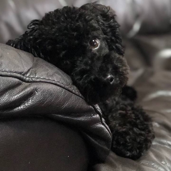 01ba2eaa e0fb 40af 9f8a 446cd937283f 1533429639158