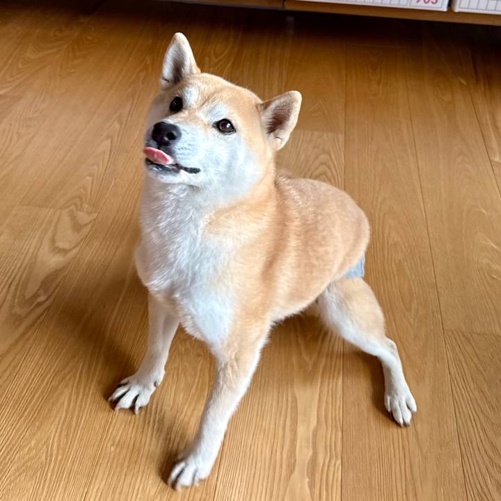 01ba31ae cf22 431d afe8 c2ea06946205 1772335228891