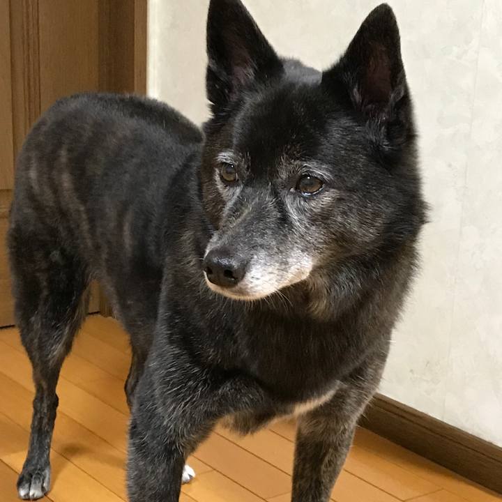 01ba5db1 0823 46b0 be33 c6fdd28f62d8 1508856038271