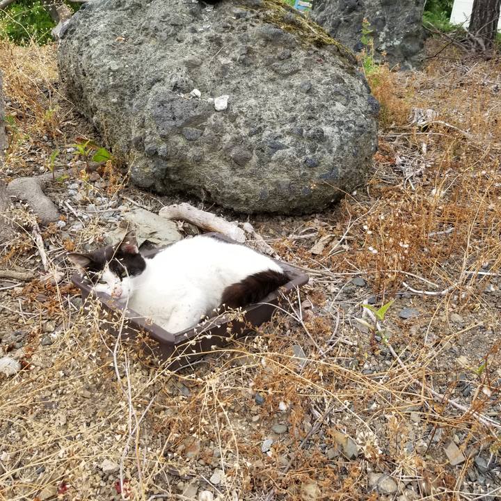 01ba5dfe 41c6 4ce3 9b75 18b5bf3367fe 1625392280501