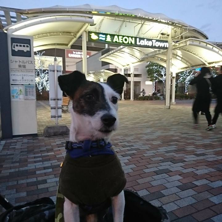 01ba8086 0fcb 4d06 a3e7 cd8f53602775 1513756181111