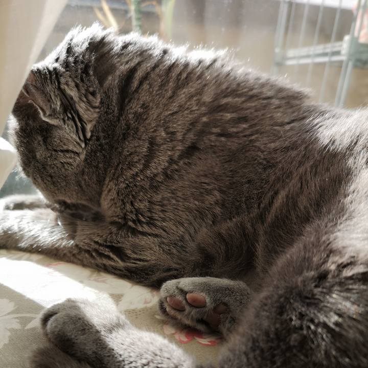 01bab715 5e2a 456f 9bde f67d26b50ec7 1609547045295