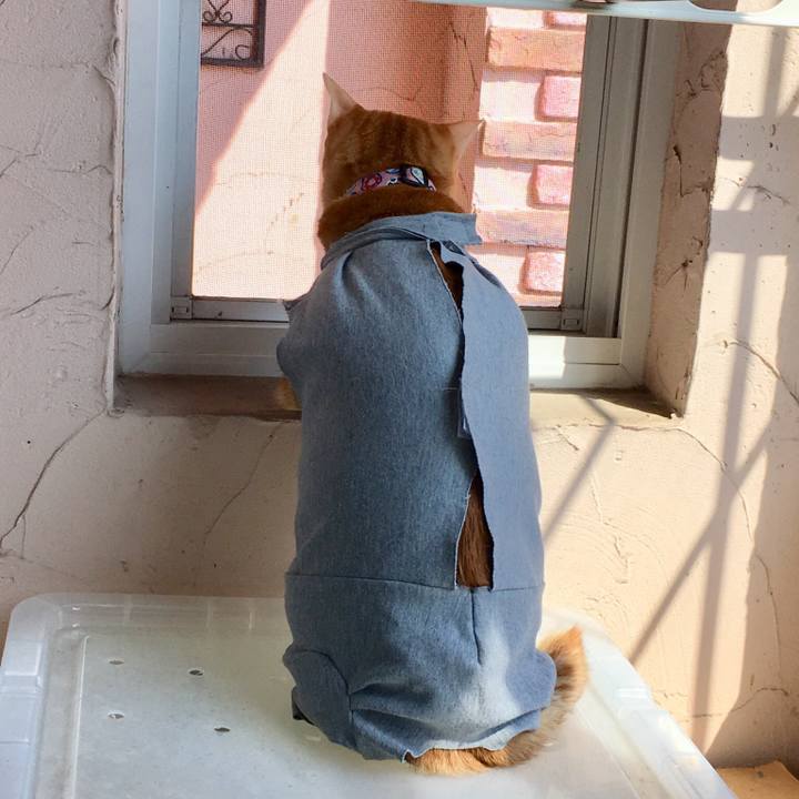 01bae492 5672 4737 a05b 83526cc8c1b1 1521870116467