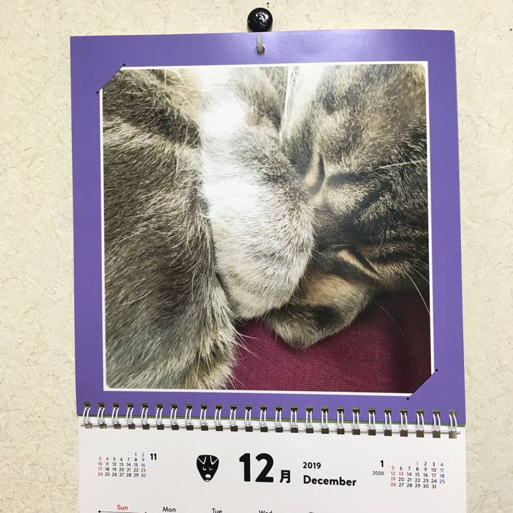 01bb78bd d185 45e3 a721 3f45184e72c5 1577793846383