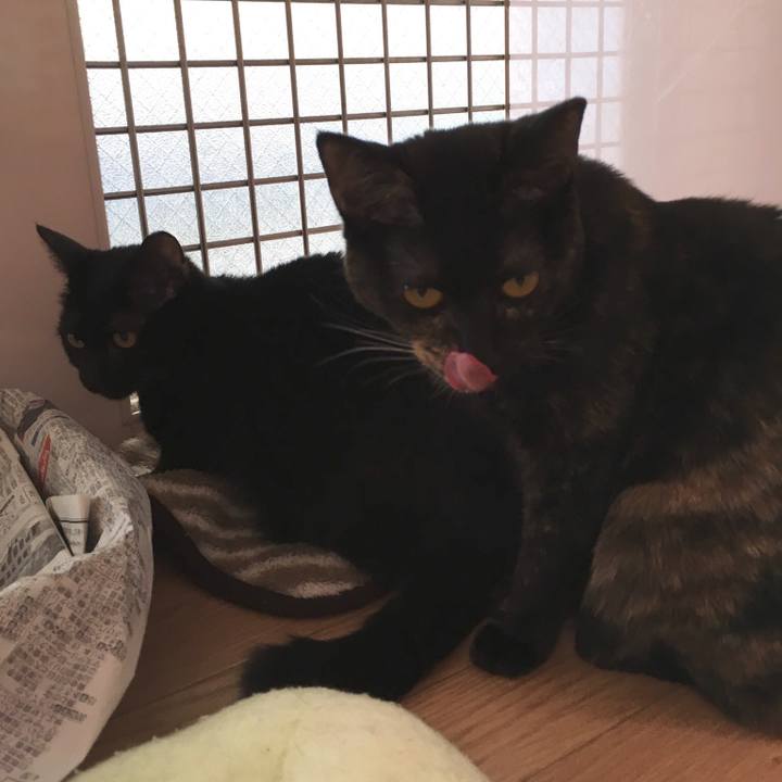 01bb7e03 d320 4dd3 b2ce 40e671ac7b7b 1518866166261