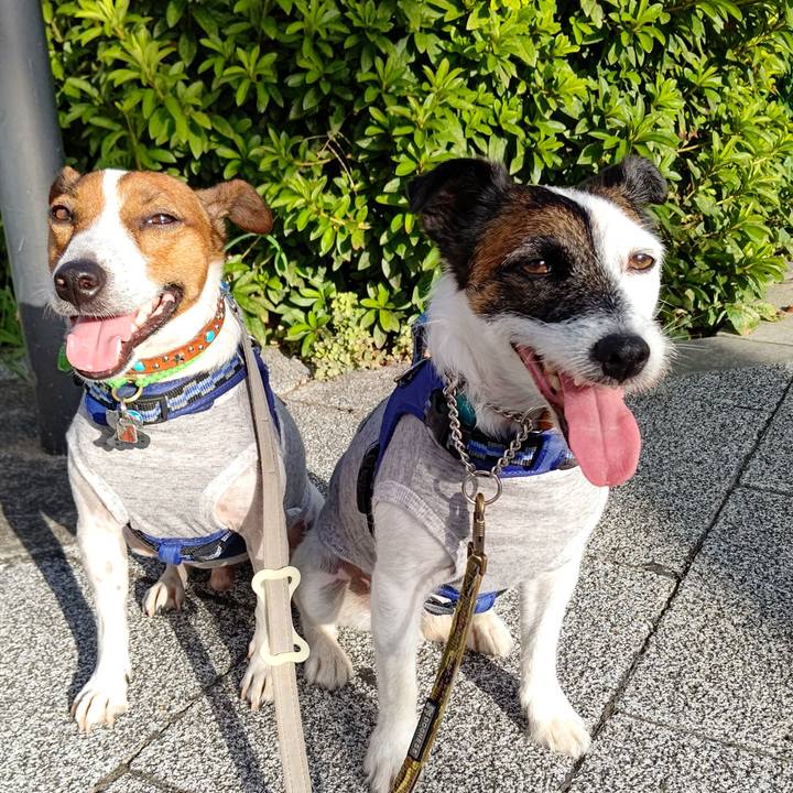 01bb8b50 337d 4e18 bdf0 6c37d3abeee7 1628200360675