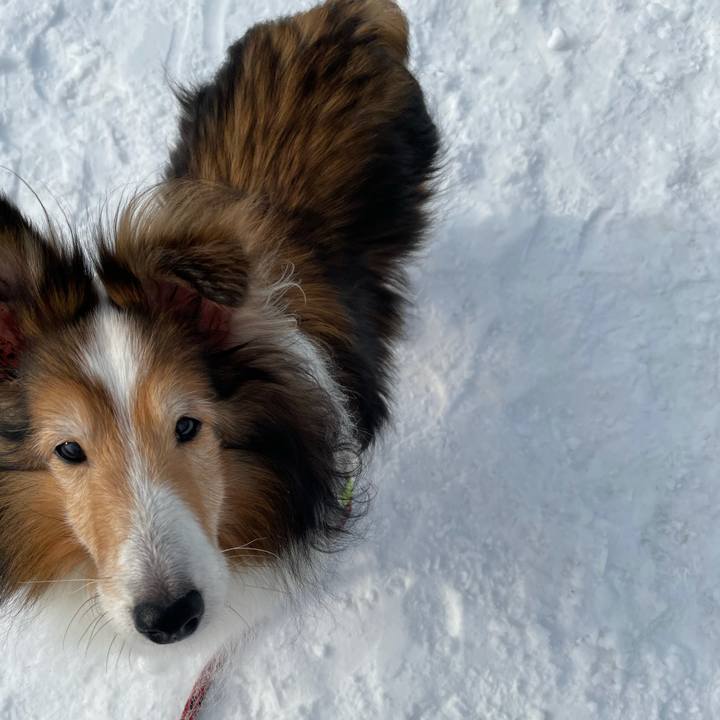 01bbd22a 0b61 4069 a641 dc1302fccf07 1613214299139