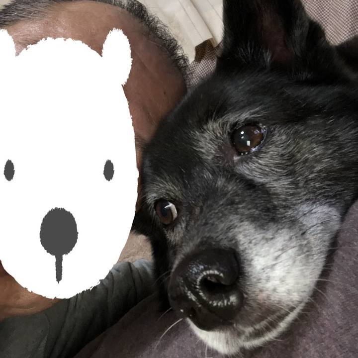 01bc3f28 3891 4c73 ae11 654aebcd2095 1516103896048