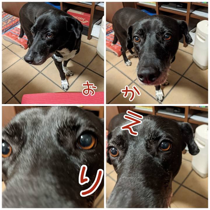 01bc7257 48cd 42aa 90cf ac20376d064c 1701687119101