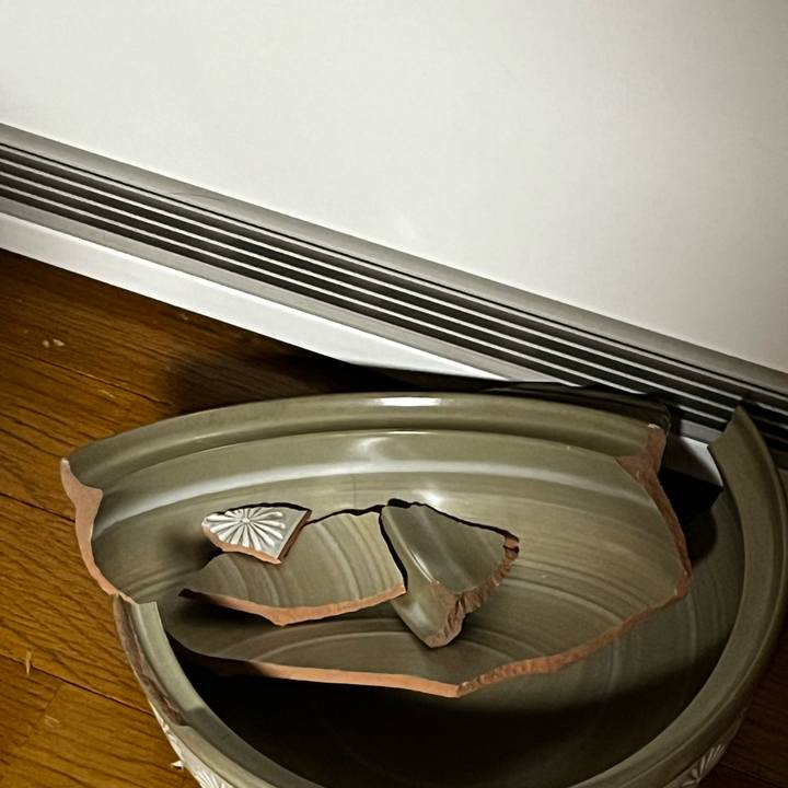 01bcad76 0e36 454b 80dd ef7f511e24db 1731273221921