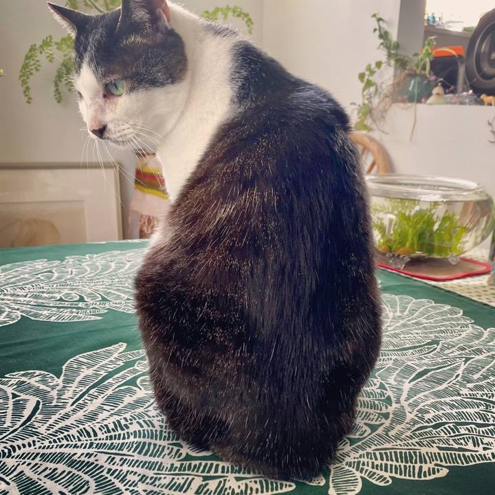 01bd249a fac3 4799 acca eeefefa76dde 1620278620047