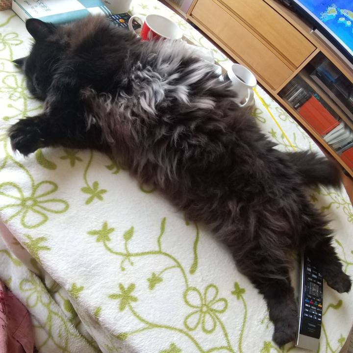 01bd25a6 56d8 4f21 9636 ef040d831782 1654837212864