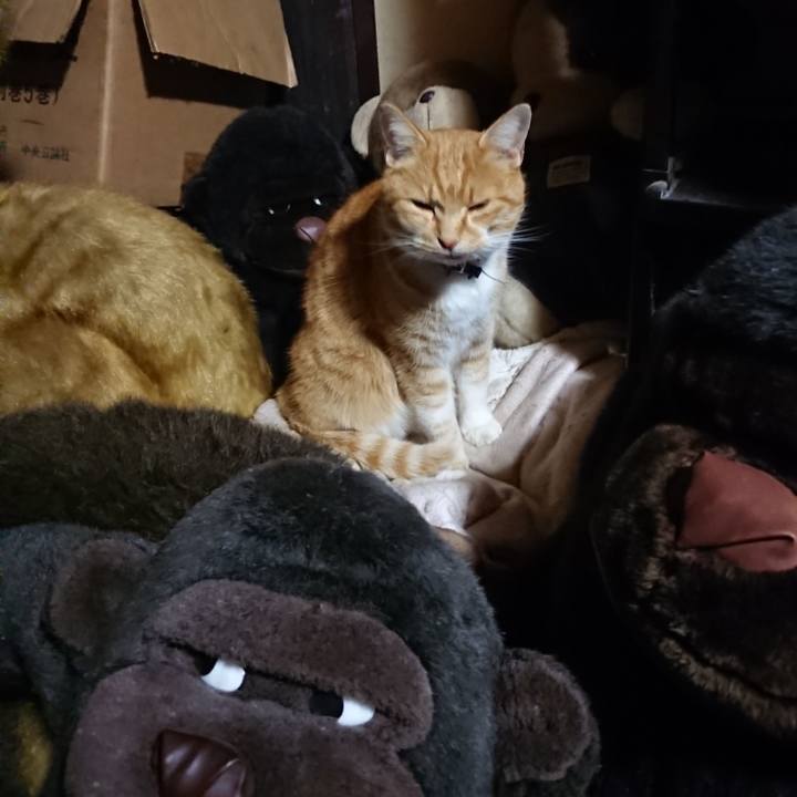 01bd8819 0704 47bf b710 d21bf68ce6ef 1605953708252