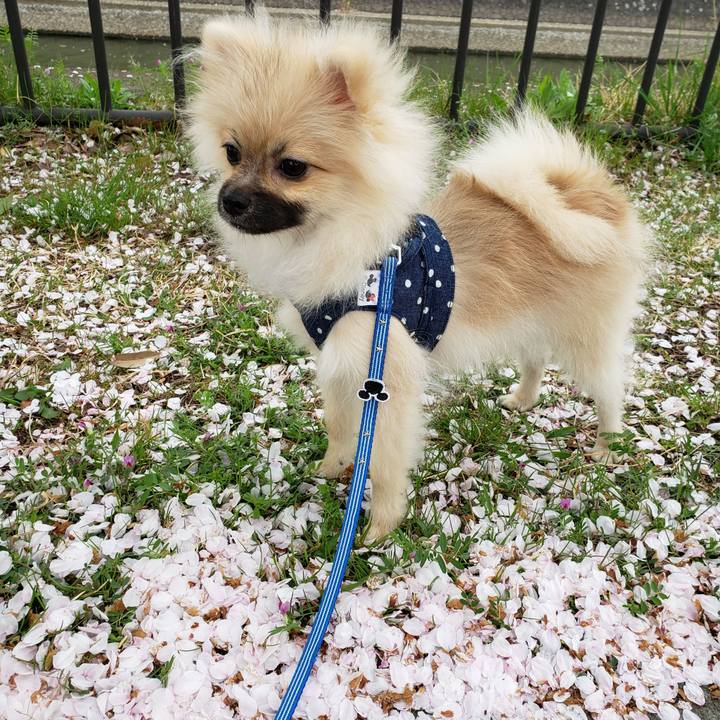 01bd8f5c 9b3b 4a90 b0f7 7000a7b19fff 1617110186628