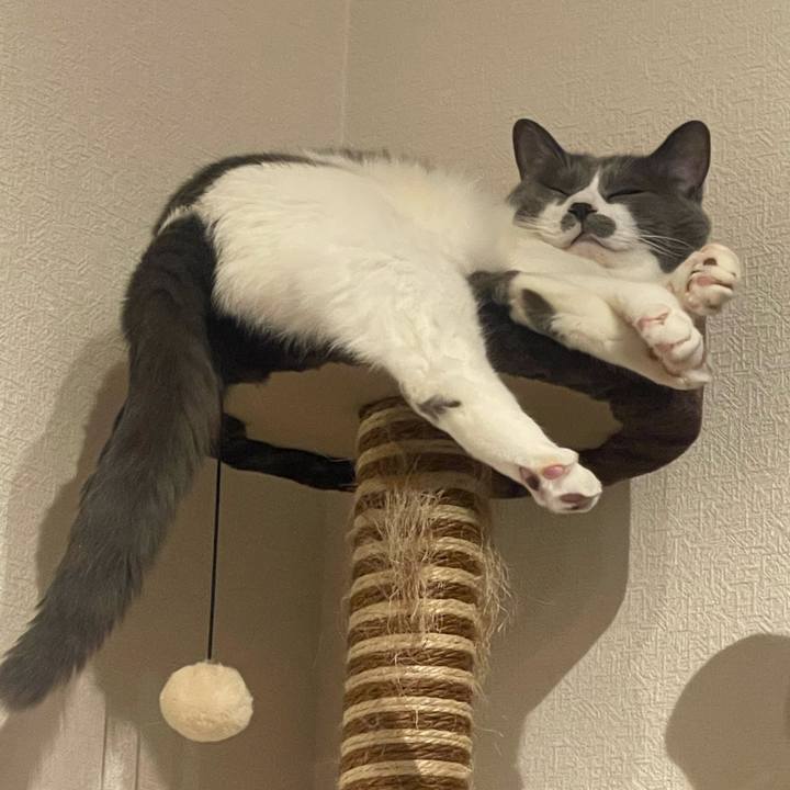 01bdb13f 45a2 4d61 83ab 15c52b8c9d4d 1720525827132