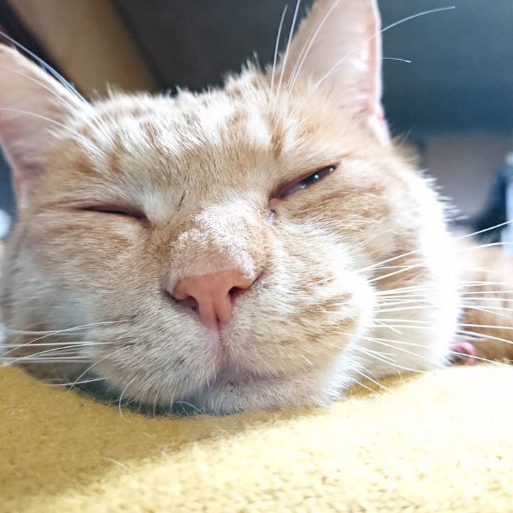 01bdc1fa 0447 4016 8f10 06112ab105df 1573554664952