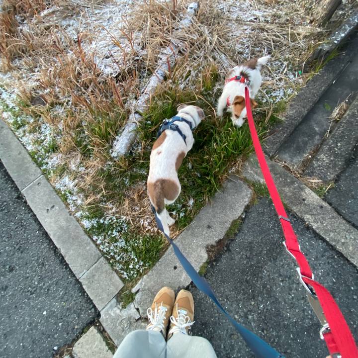 01bdde97 21c3 4d80 bd6e 883f81a7fe88 1676410879340