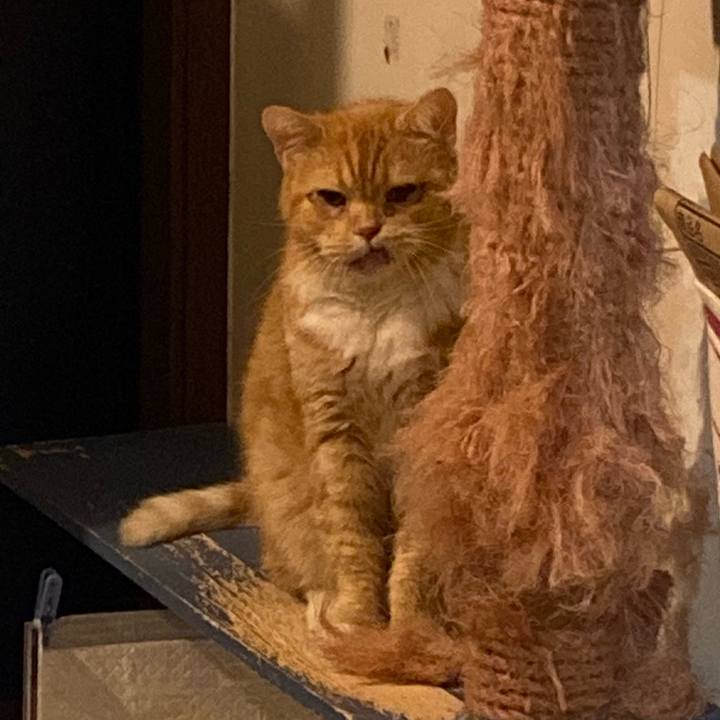 01be0884 6c9f 48e8 b295 99b5d2835dbf 1669994790228