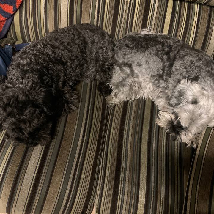 01be150e da14 4afe ad56 9e9aba74b665 1681109822166