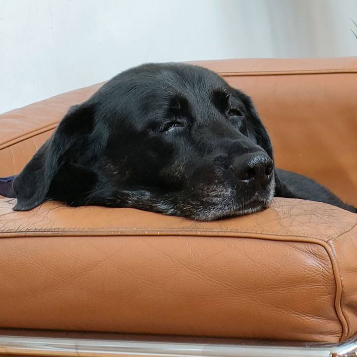 01be2af4 aa32 49a2 a971 66b41bc29a66 1722057019365