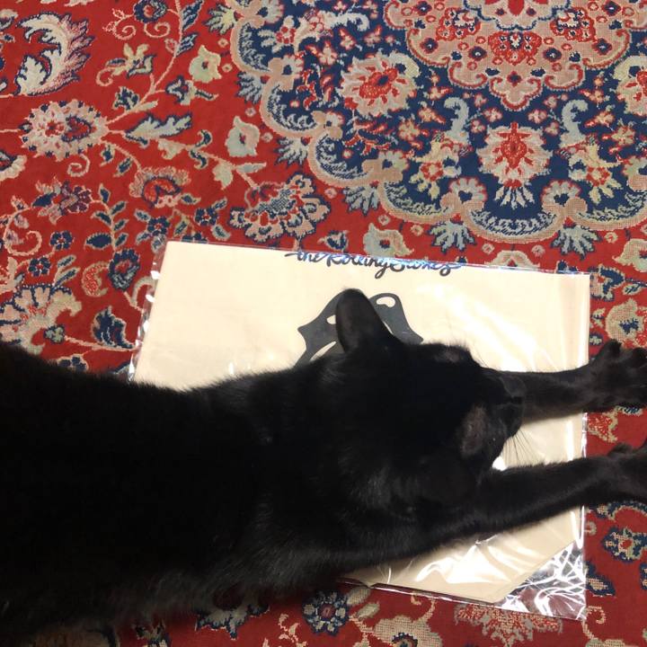 01be3956 c2d9 4bf9 87ac b0a24b4d811a 1554460961919