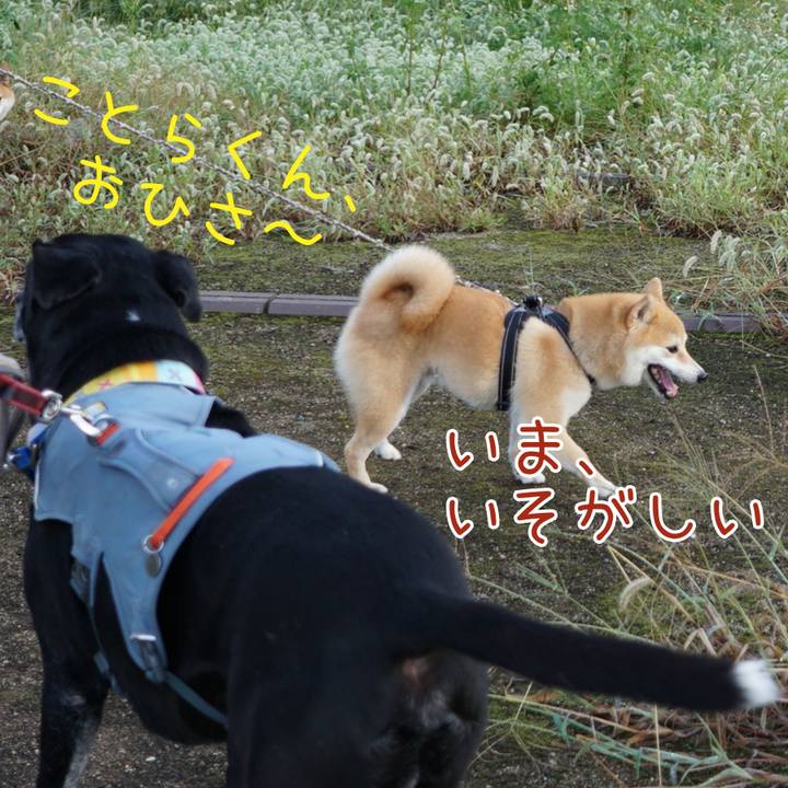 01be46ed a1c9 4cc6 8b27 37e05f6ec066 1759402731629