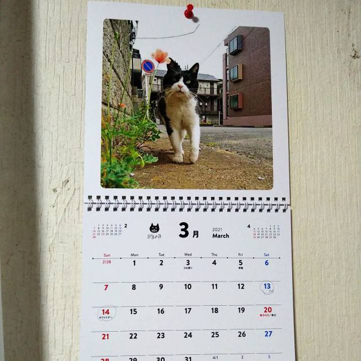 01be67a0 60a4 43e6 b5c0 0bec69d4e2e0 1614512567050