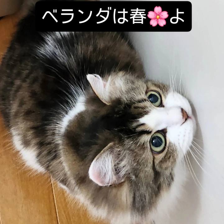 01be8a6c 629a 4627 85ff 74f03e9b3a41 1740800785751