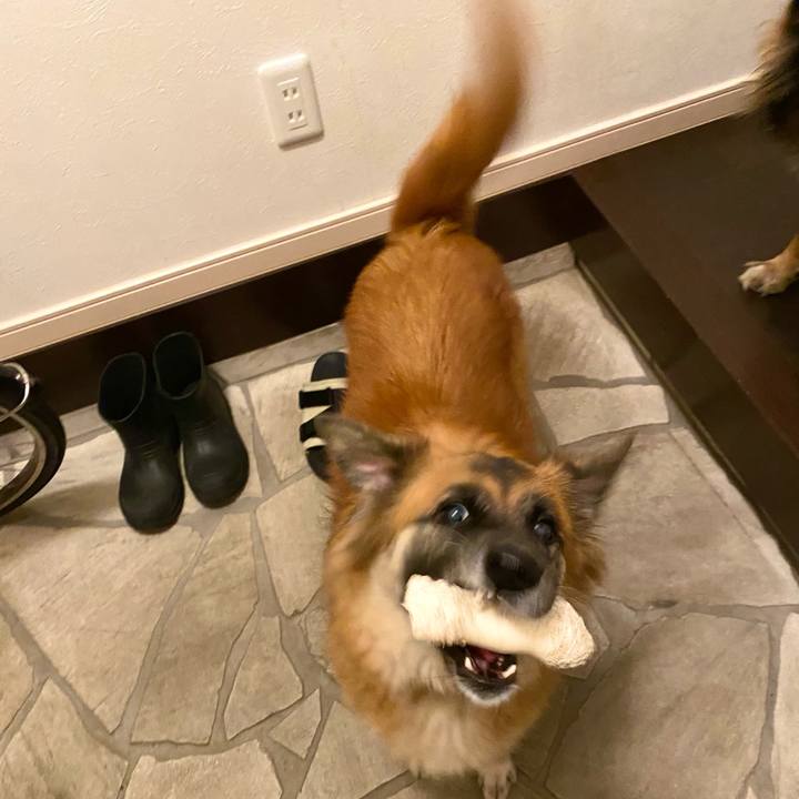 01be94c1 e75d 427a 8287 4409d07a1ba2 1756476199559