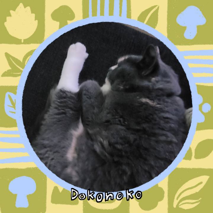 01bea710 021a 45ed bd8f 1ad1ae4b7d4e 1763990615681