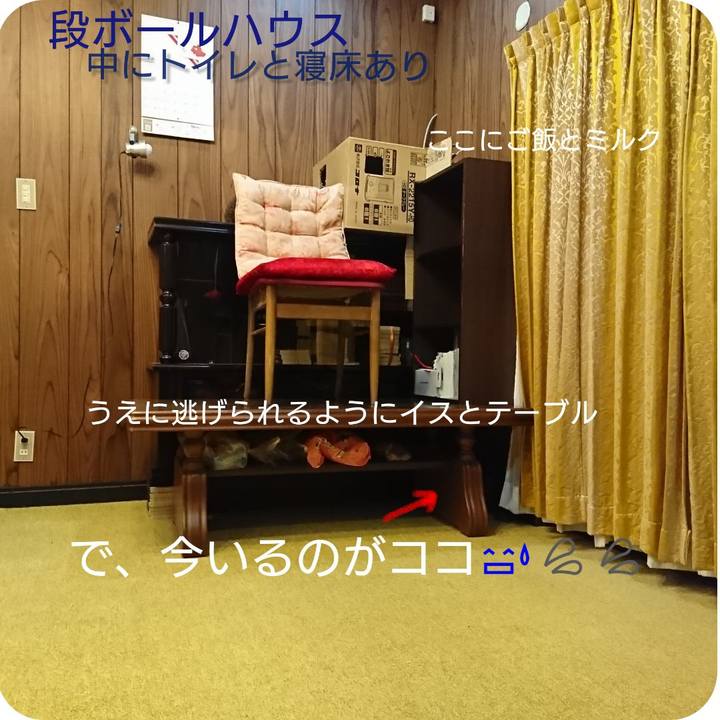 01bec579 1708 4364 949b a62bb45b9db6 1548766784365