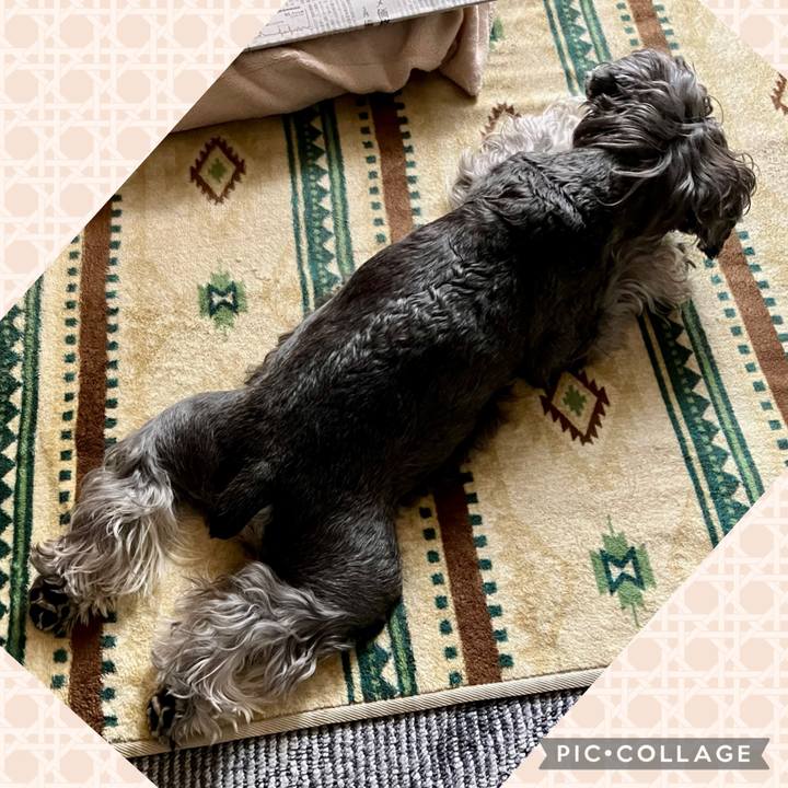 01bf1b99 4020 419f b17b a7ac8dfbf32d 1745046920787