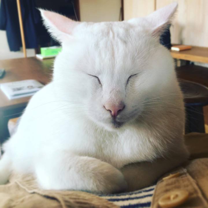 01bf22fe e561 4dce 8e65 c64826d94c9a 1573520411920