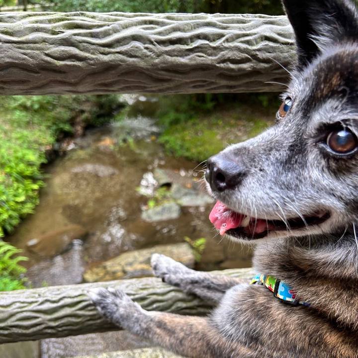 01bf2ca1 6aa6 4960 97f9 9e26632e6080 1691195378501