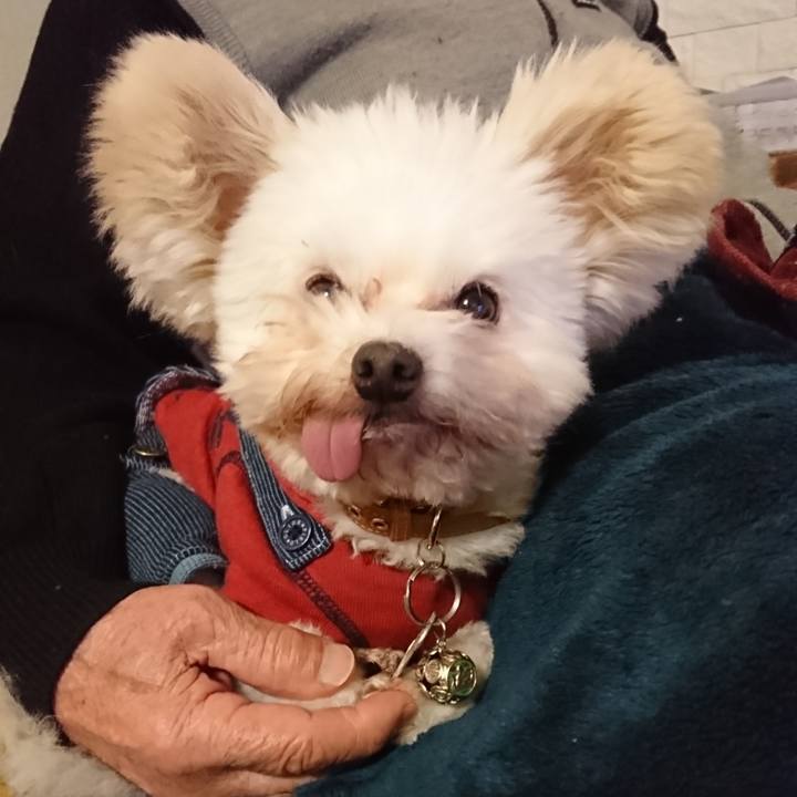 01bf3ecd e963 4c79 9dde a44c3f94c481 1547034294182