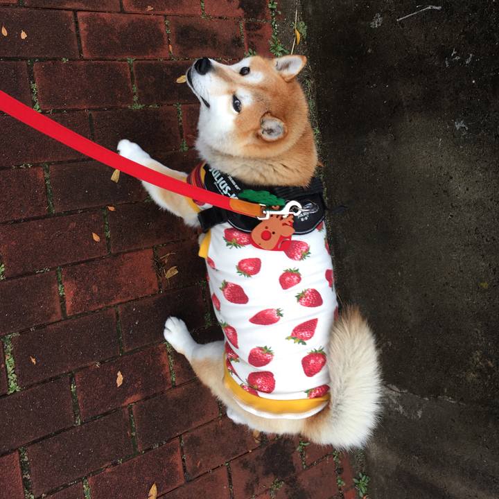 01bf85bc 1dbc 4166 8c36 b8c8c00b5502 1577063003791