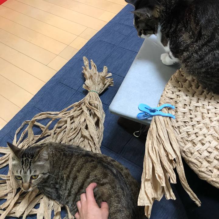 01bfa648 214d 4b4b a747 08e3aaa9e847 1525585555737