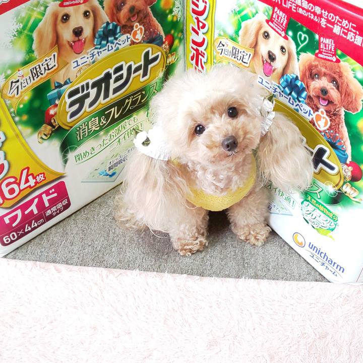 01bfde78 1c63 4d5a a3aa f578f7428bd8 1574858870383