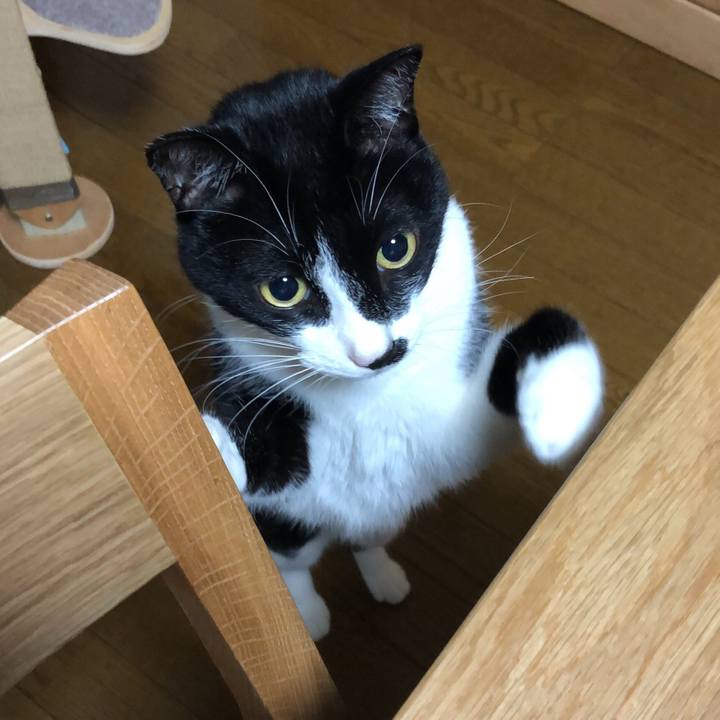 01bff160 dc4f 4444 ad92 47201f19dc19 1539955332686